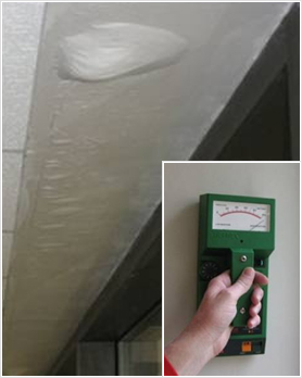 Moisture Verificaion